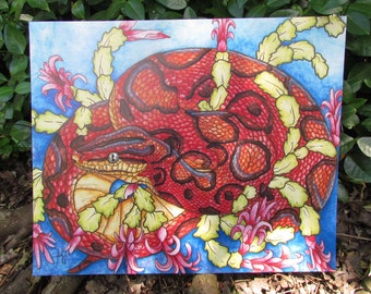 Brazilian Rainbow Boa & Christmas Cactus PRINT