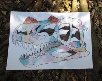 Ceratosaurus Skull PRINT