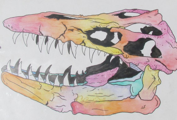 Mosasaurus Schadel Original Etsy