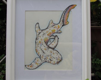 Pied Nurse Shark FRAMED ORIGINAL
