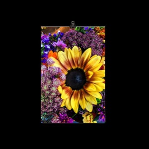Fine Art Print - Sunflower