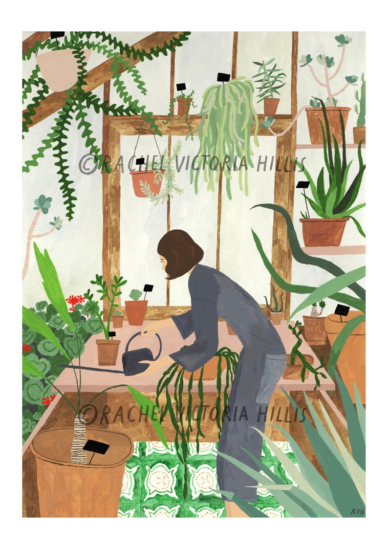 Succulent House Botanical Greenhouse A4 Giclée Print image 2