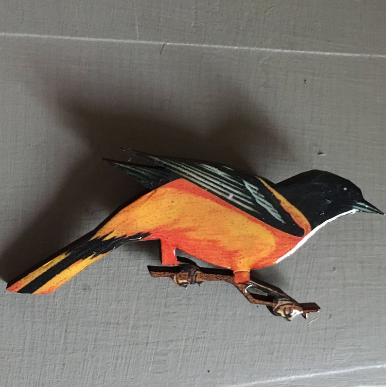 Black Bird With Orange On Wings And Tail 5