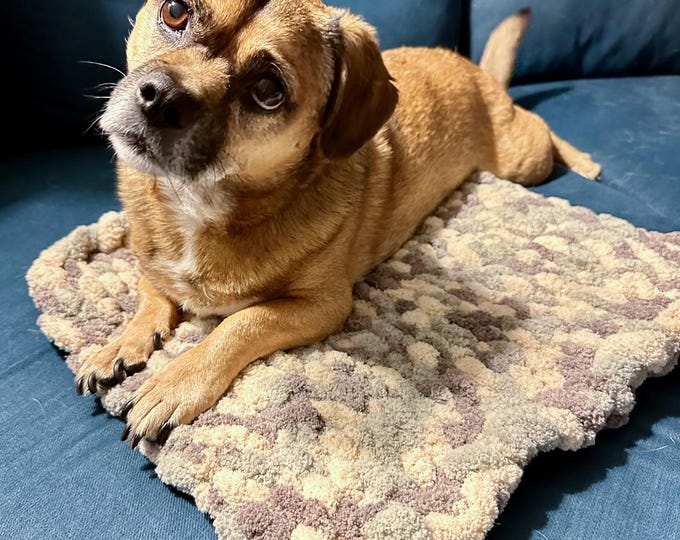 Small Dog Blanket Chunky Knit Silver 17x17 | Cat Bed Mat Handmade | Pet Crate Blanket Cozy Throw