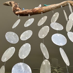 May include: A driftwood mobile with white seashells hanging from it. The driftwood is brown and has a natural, rustic look. The seashells are arranged in a cascading pattern, creating a visually appealing and calming effect.