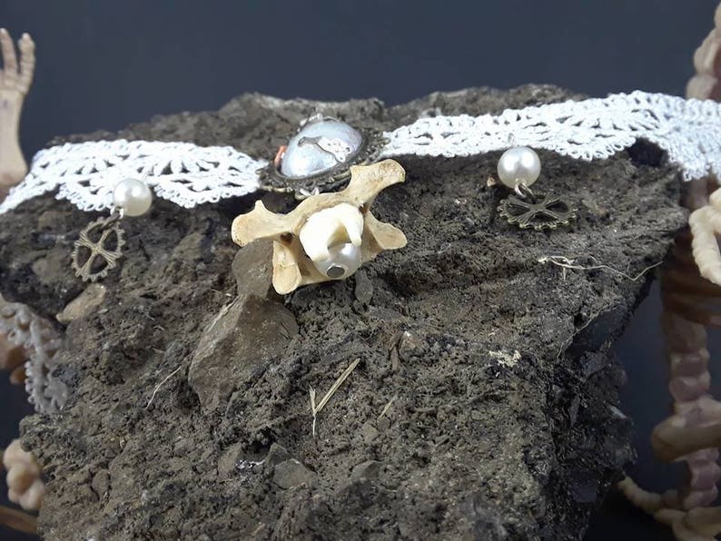 Necklace real bone /& tooth Victorian Punk inspired