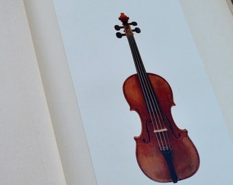 モダン　ドイツ　4/4 バイオリン　Neuner & Hornsteiner Neuner & Hornsteiner 3/4 Size Violin | J.R. Judd Violins