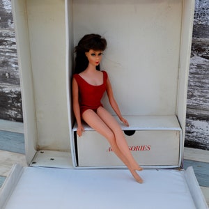 Barbie Doll, T-N-T 1966, Chocolate Bon-Bon, #1160, Original Case, Barbie Clothes, Midge, Ken, Mod Barbie, Sock it to Me,