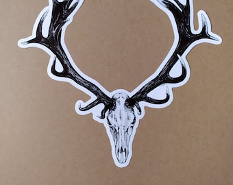 Huge Vinyl Sticker Deer Skull or Deer Skull and Ammonite