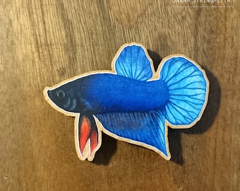 Magnet of a Blue Siamese Fighting Fish or Betta splendens printed on wood