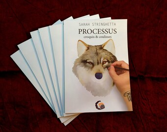PROCESSUS, croquis & coulisses - Sketchbook, behind the scenes, work in progress, step-by-step - drawings and watercolors