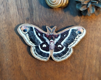 Magnet of a Columbia silk moth printed on wood