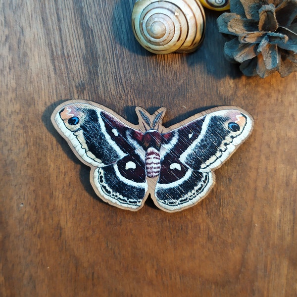 Magnet ou Aimant Papillon de nuit Bombyx columbia à l'aquarelle imprimé sur bois