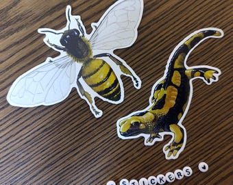 Garden friends themed vinyl stickers - Fire salamander and honey bee