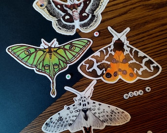 Moth themed vinyl stickers
