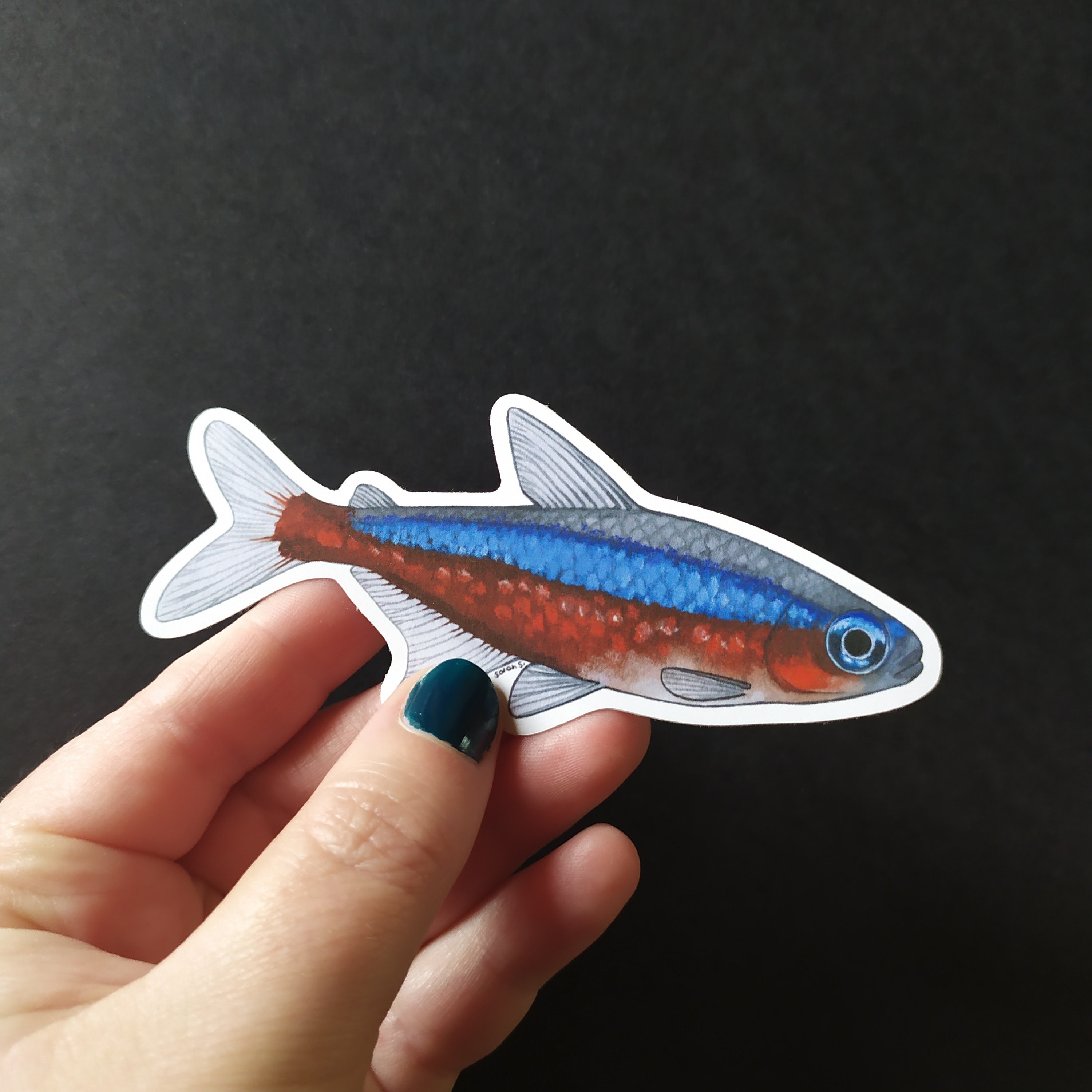 Fish Themed Vinyl Stickers Unit or Set - Neon - Tetra Cardinalis or ...