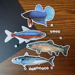 Fish themed vinyl stickers unit - Neon - Tetra Cardinalis or Mackerel or Betta splendens or Rainbow Trout
