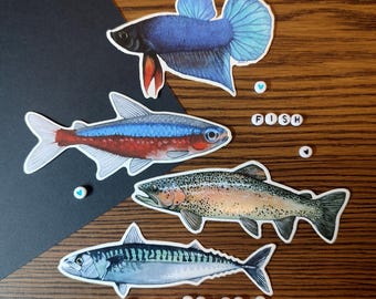 Fish themed vinyl stickers unit - Neon - Tetra Cardinalis or Mackerel or Betta splendens or Rainbow Trout