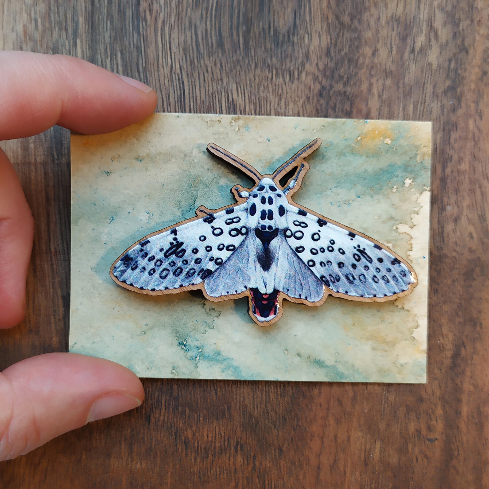 Giant Leopard Moth Brooch Textile Butterfly - Blue Terracotta