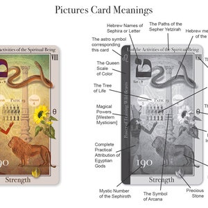 May include: A tarot card with a colorful illustration of a lion, a snake, and a sunflower. The card is labeled "Strength" and has the number "190" on it. The card is part of a larger set of tarot cards.