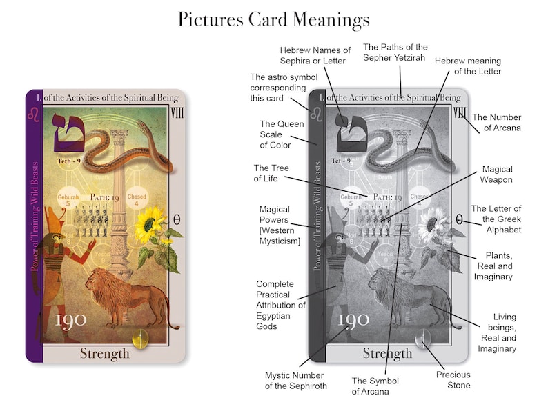 May include: A tarot card with a colorful illustration of a lion, a snake, and a sunflower. The card is labeled "Strength" and has the number "190" on it. The card is part of a larger set of tarot cards.