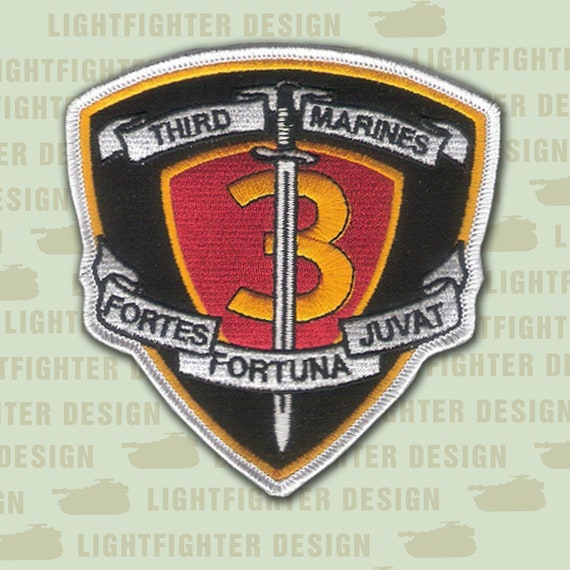 NTC LITF Light Infantry Task Force Airborne para oval patch B m//e