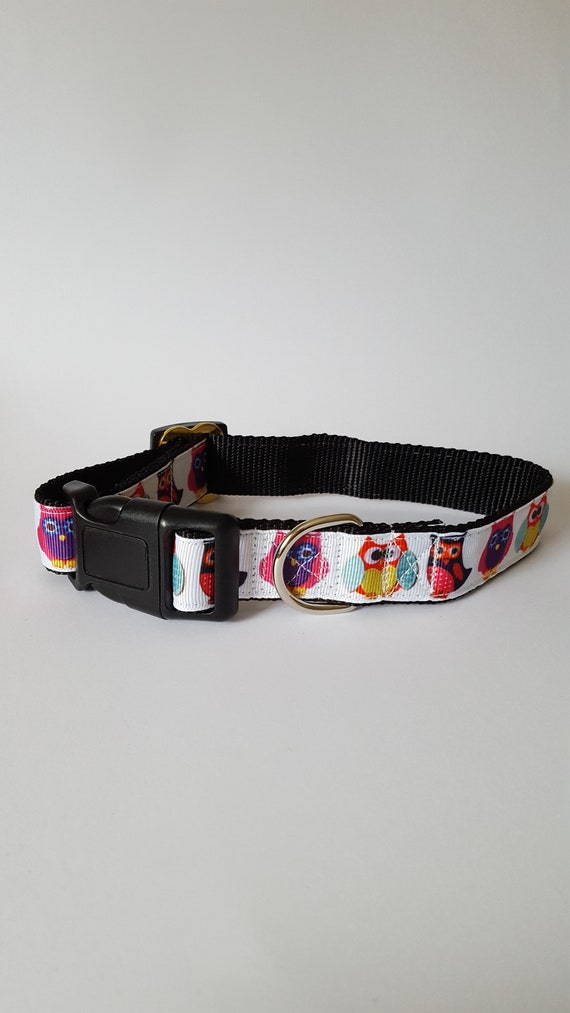owl dog collar