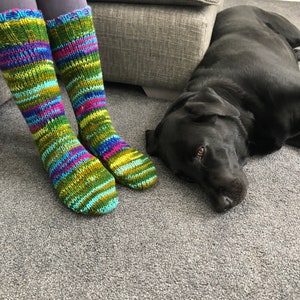 Op de afbeelding: Een paar kleurrijke gestreepte sokken in groen, blauw, roze en geel. De sokken zijn gebreid en hebben een textuur. Een zwarte Labrador Retriever ligt op de vloer naast de sokken.