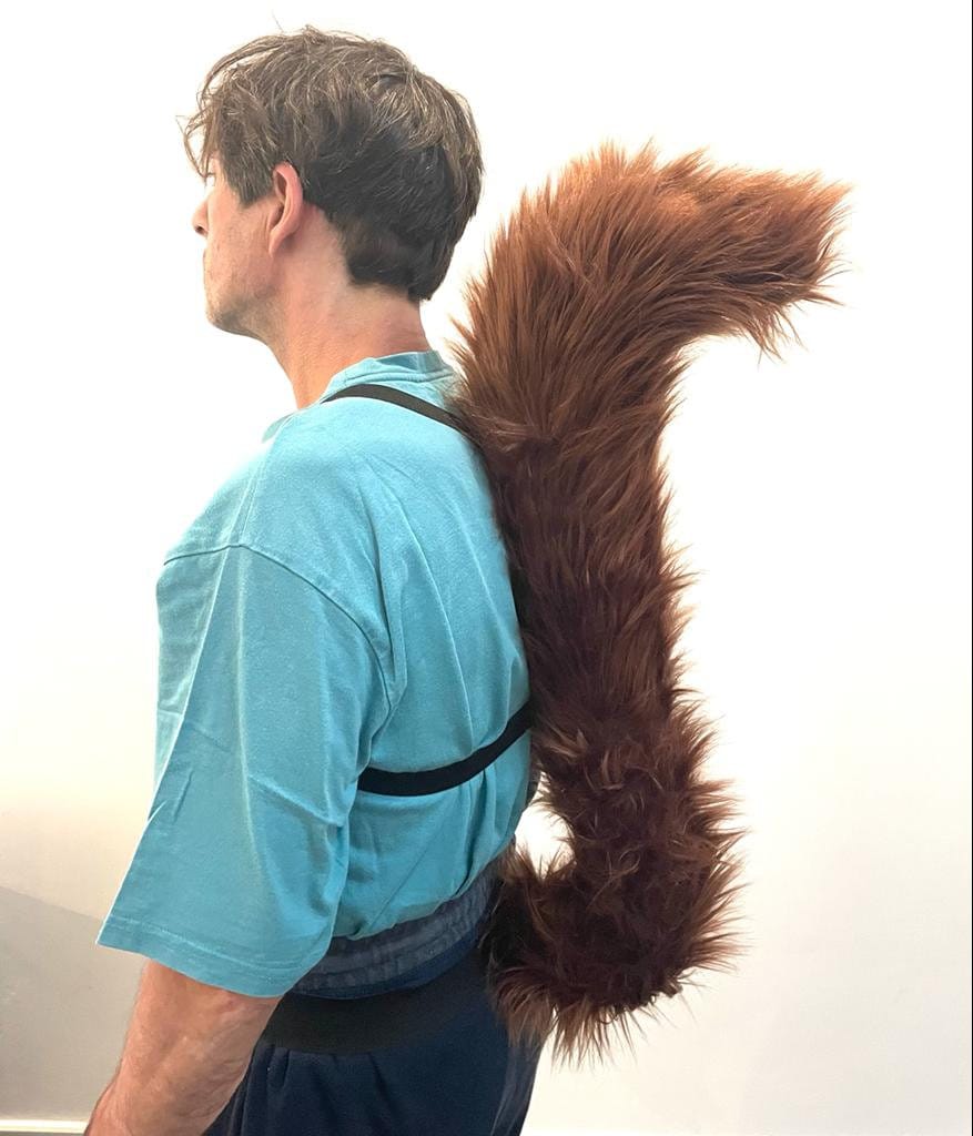 Children's squirrel shop fancy dress