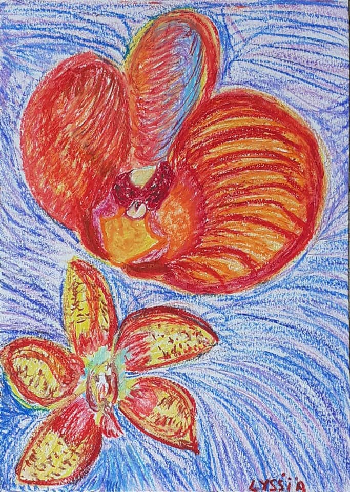 Drawing Orchid Flowers