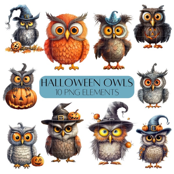 Owl clipart bundle Halloween animals clipart Commercial use PNG 10 Elements Cute owls Spooky clipart
