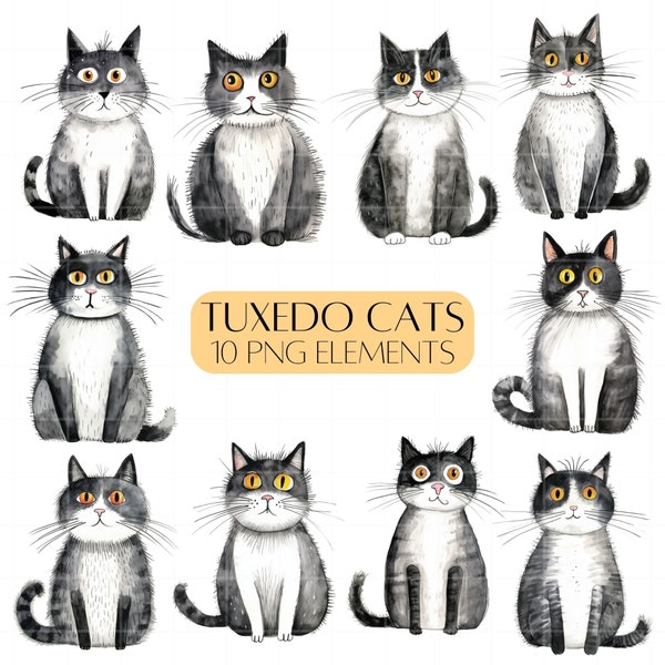 Tuxedo cat clipart set Cute black and white cats PNG Commercial use Cat lovers card making supplies