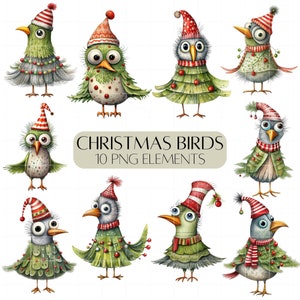 Christmas clipart Birds dressed as Christmas trees cute illustrated clipart set PNG Commercial use Card making elements