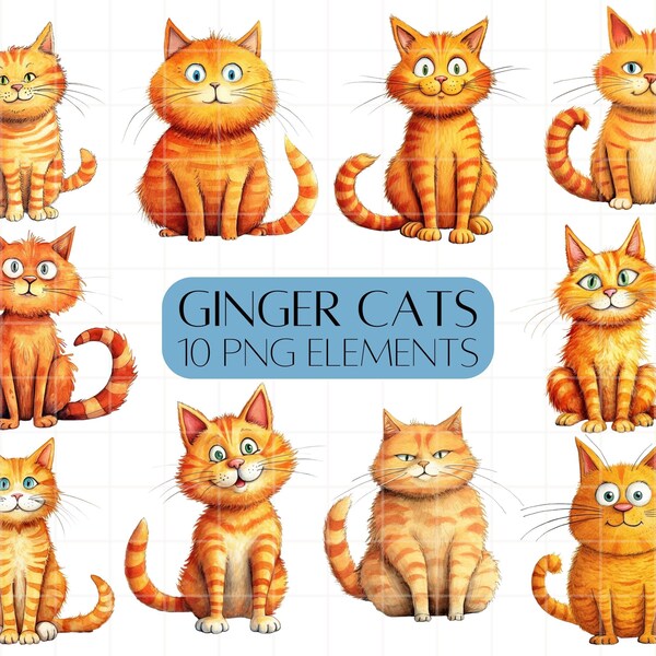 Ginger cat clipart bundle  Set of 10 cute cats PNG Images Commercial use Instant digital download Feline Illustrations Cat lovers