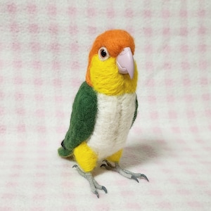 White-bellied Caique :Wool parakeet /Stuffed Animals