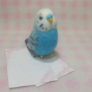 mini budgie 1 *clip & brooch