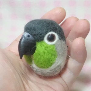 green conure clip & brooch