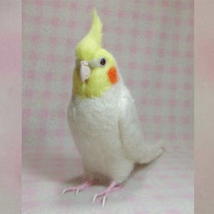 Cockatiel ・1 :Wool parakeet　　Stuffed Animals