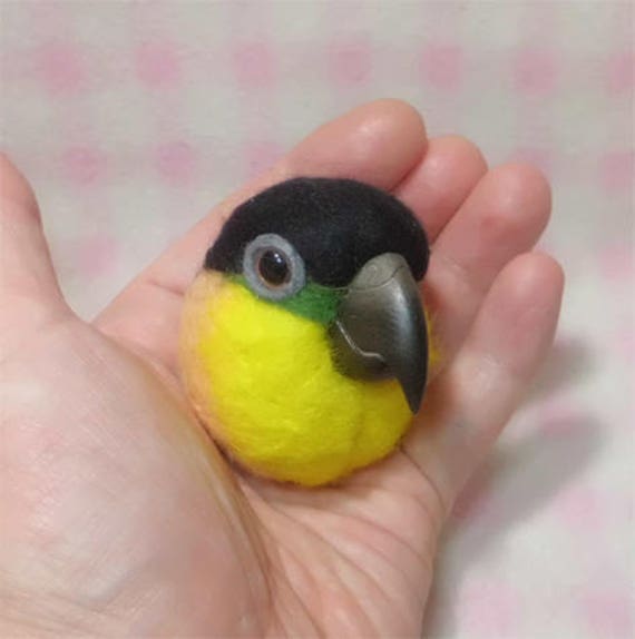 caique plush