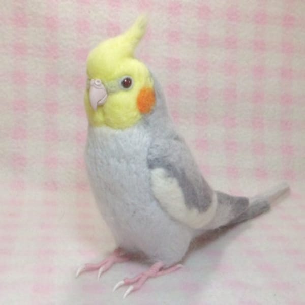 Cockatiel  :Wool cockatiel ・1/1 size　　Stuffed Animals