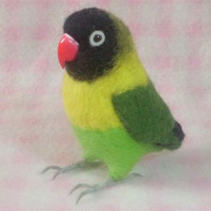 Lovebird・bk :Wool parakeet /　Stuffed Animals