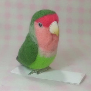 mini Peach-faced Lovebird 1 *clip & brooch