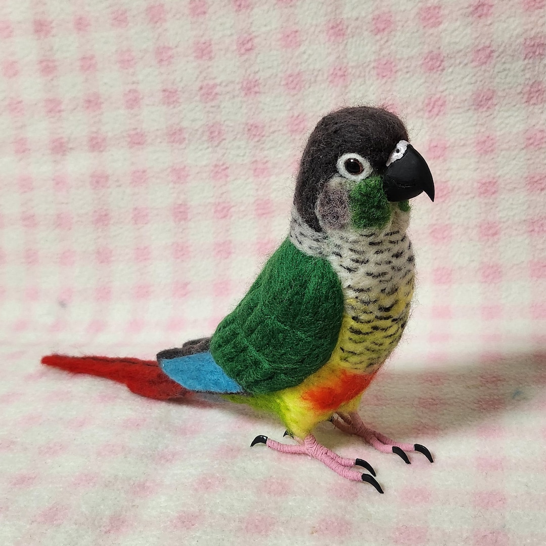 Life―size （real Size）green―cheeked Conure ”wool 　made-to-order Products 