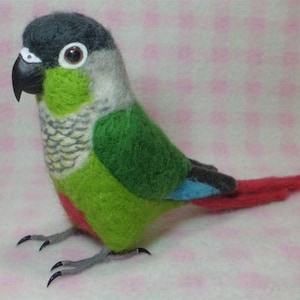 Life-size (real size) green-cheeked Conure &quot;Wool stuffed bird&quot;