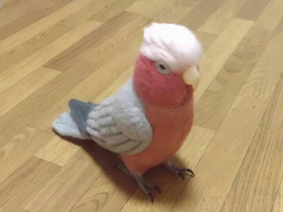 Galar wool Stuffed Wool Parakeet parrot Real Size Etsy