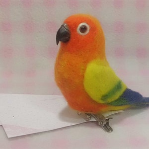 mini  Sun Conure *clip & brooch