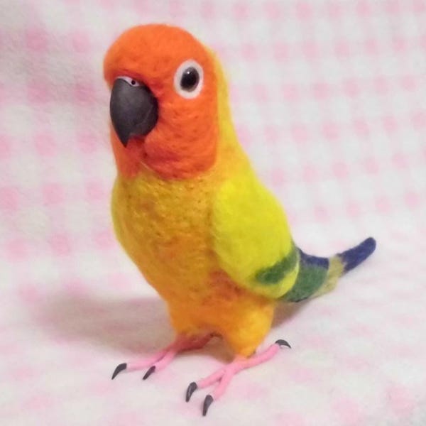 Sun Conure /Stuffed wool ＊needle felted bird made-to-order product　＊I will start creating after you place an order.