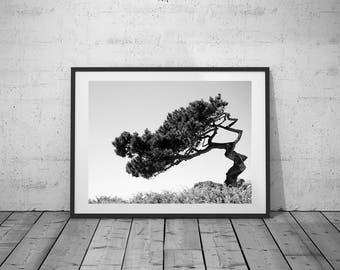 Desert Tree Photo, Black-White Photography, Digital Print, Wall Art, Printable Poster, Digital Download, 4 JPG's