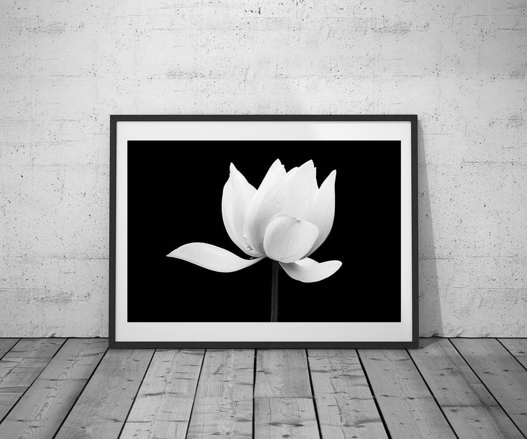 Flower Photography, Lotus, Wall Art Print, Blackwhite Photo, Printable