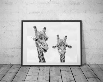 Animal Photography, Wall Art Decor, Giraffe Photo, Black-White Photo, Printable Poster, Digital Download, 4 JPG's
